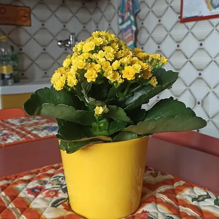 Yellow Submarine Apartman Milánó